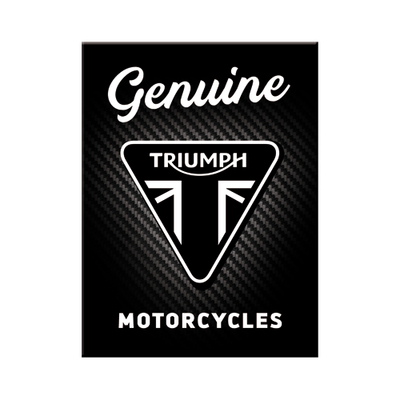 14414 Magneetti Triumph - Genuine Motorcycles