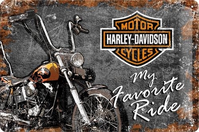 22174 Kilpi 20x30 Harley-Davidson My Favorite Ride
