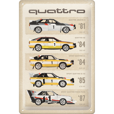 22451 Kilpi 20x30 Audi Sport - quattro Model Evolution