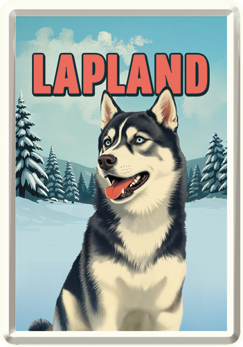 70779 Postikortti Lapland - Husky Head