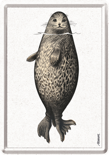 70784 Postikortti Bruun - Seal