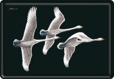 70785 Postikortti Bruun - Swans