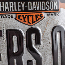 28003 Kilpi 10x20 Harley-Davidson Riders Only