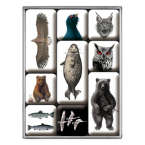 87055 Magneettisetti Animals